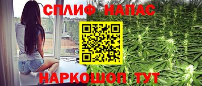 винт Славгород