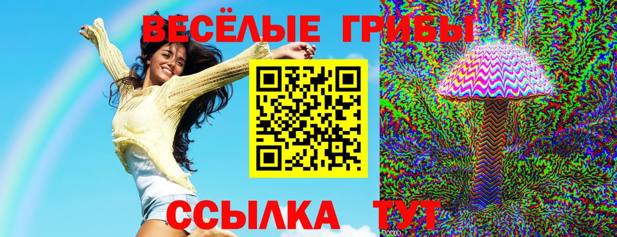 Галлюциногенные грибы GOLDEN TEACHER Астрахань